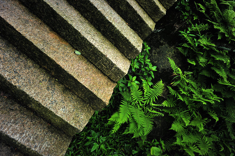 dsc_6872a.jpg