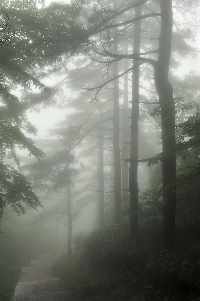 dsc_7058.jpg