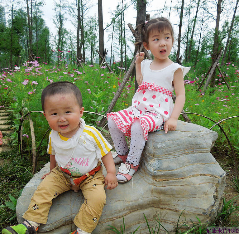 dscn9990.jpg