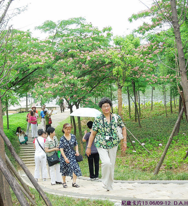 dscn9987.jpg