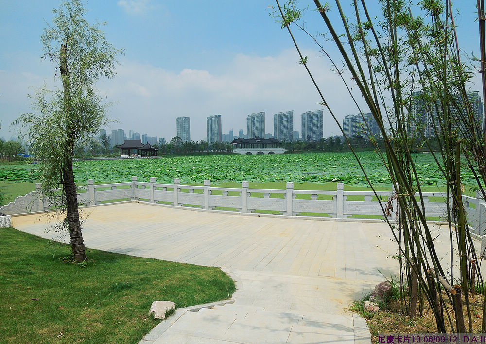 dscn0046.jpg