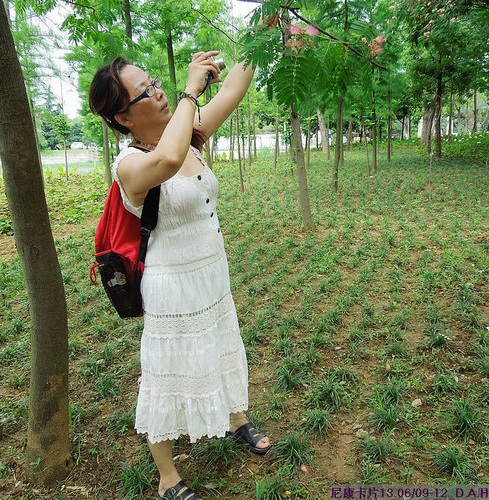 dscn9981.jpg
