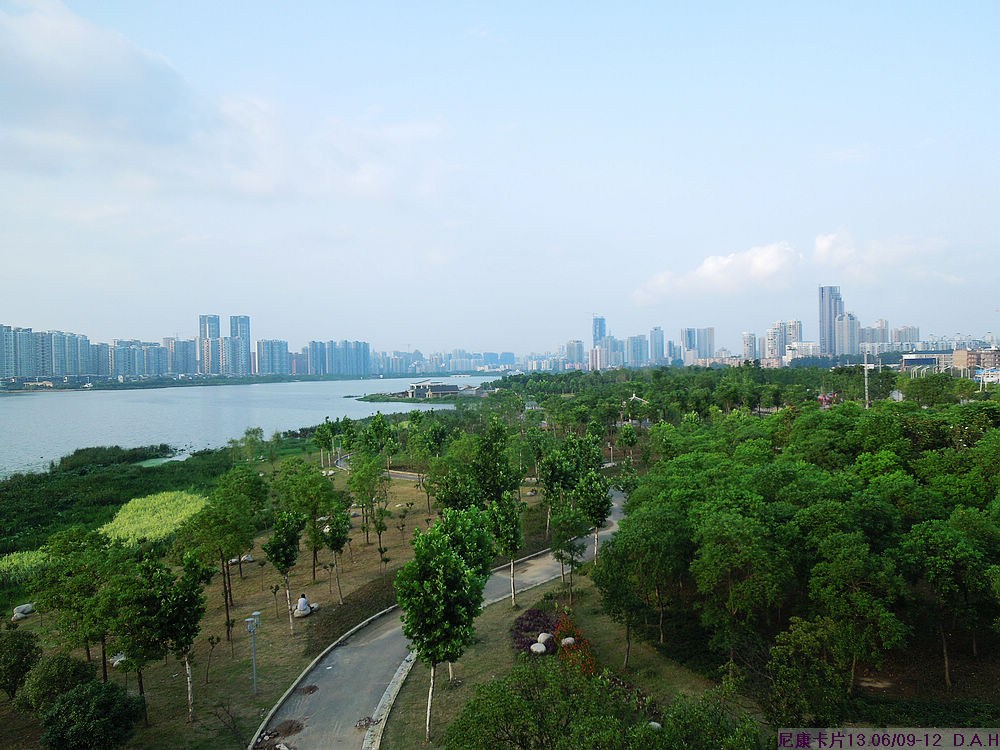 dscn9929.jpg