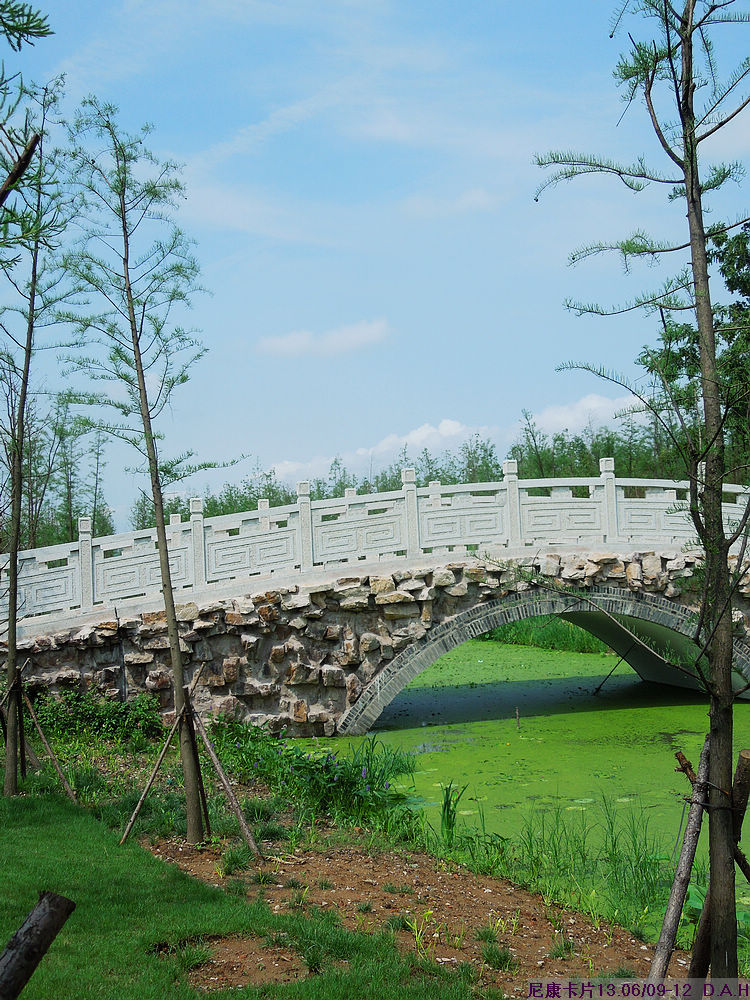 dscn9942.jpg