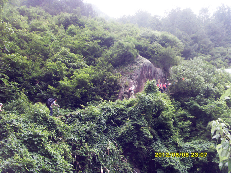 sdc11352_.jpg