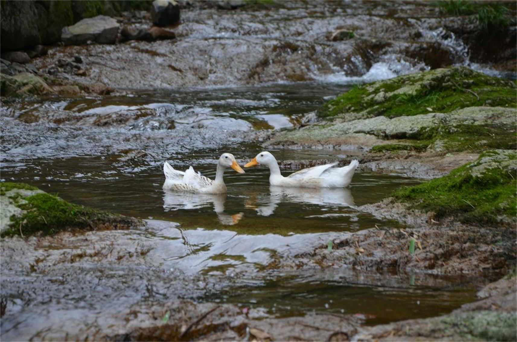 dsc_0475_ͼ.jpg