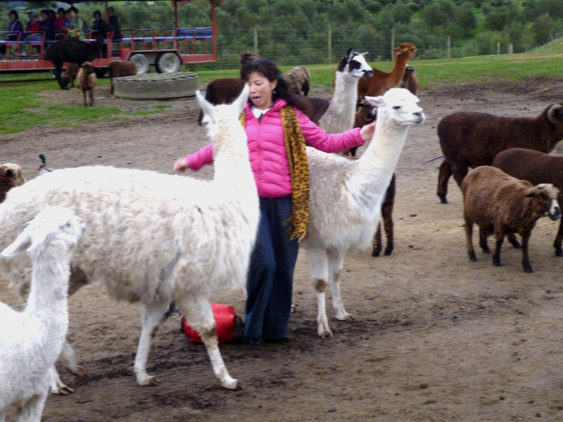 С p1050676.jpg