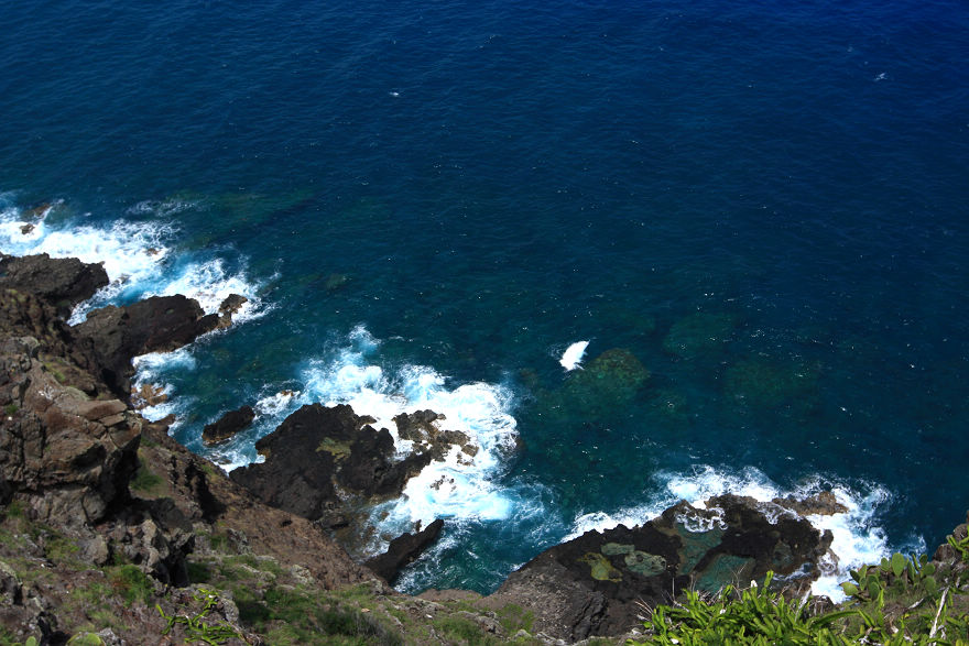 img_7885.jpg