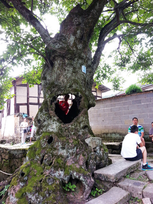 20130612_141405.jpg