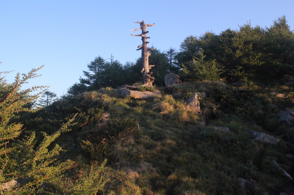 1140.jpg