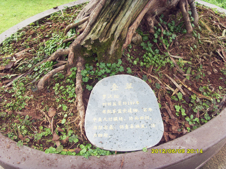 sdc11397_.jpg