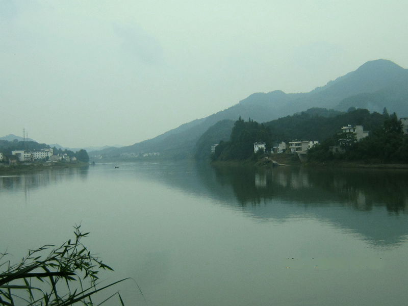 img_6873_.jpg