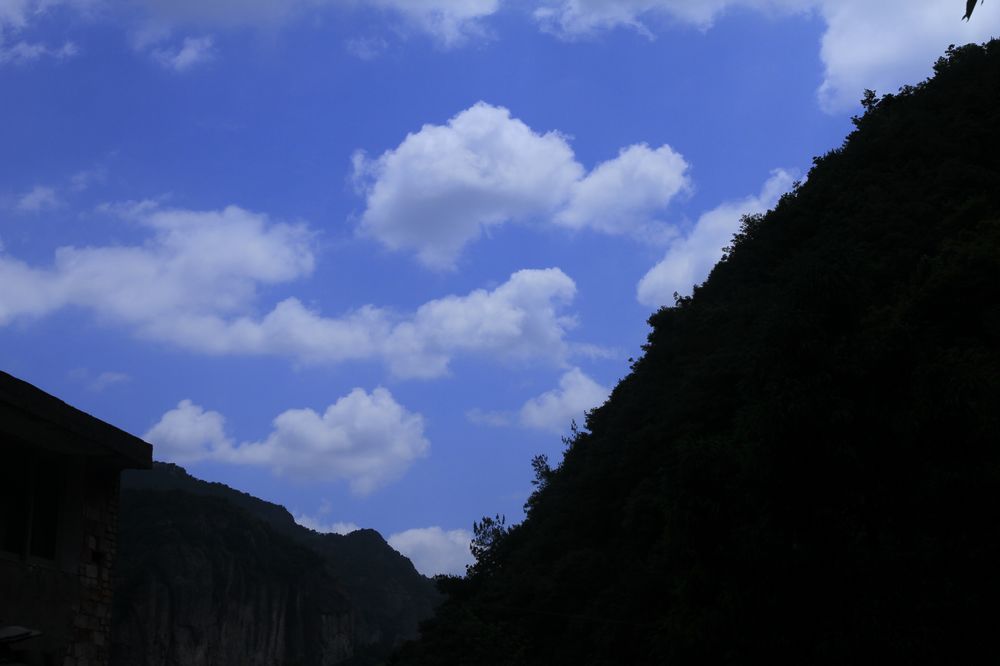 neo_img__mg_0007.jpg