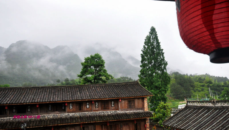 dsc_1913.jpg