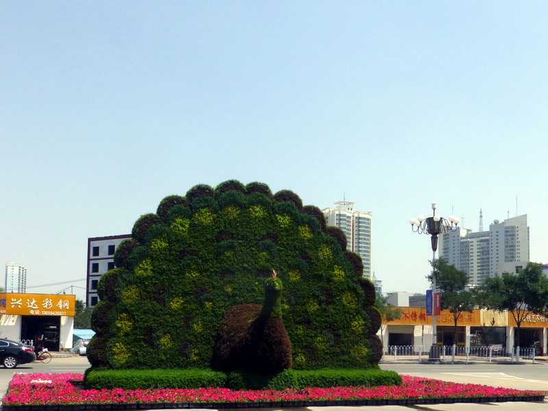 p1080154.jpg
