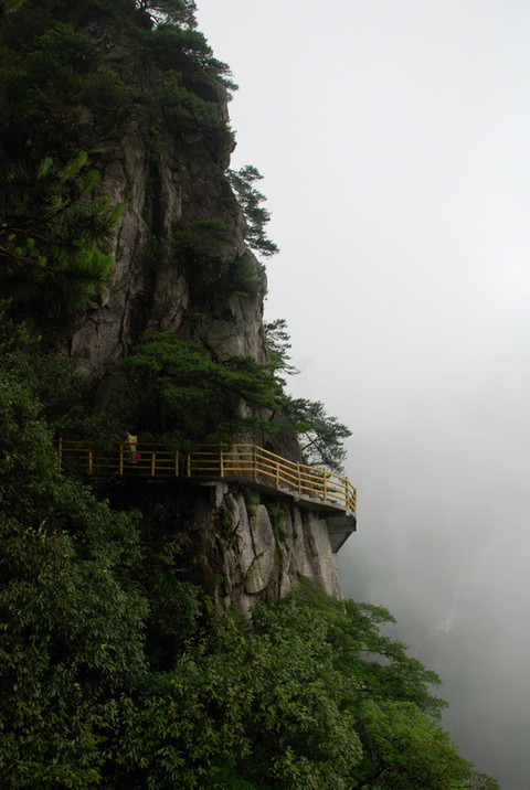 dsc_0232.jpg