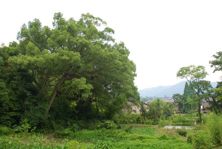 dsc_0416.jpg