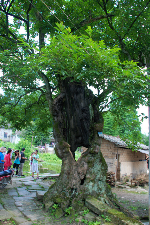 dsc_0421.jpg