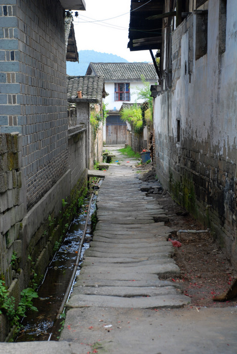 dsc_0423.jpg