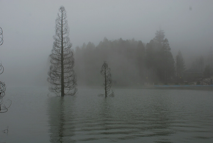 dsc_0323.jpg
