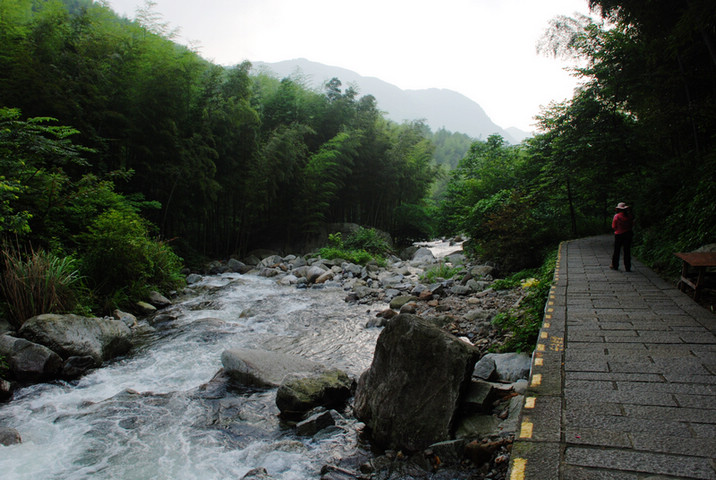 dsc_0328.jpg