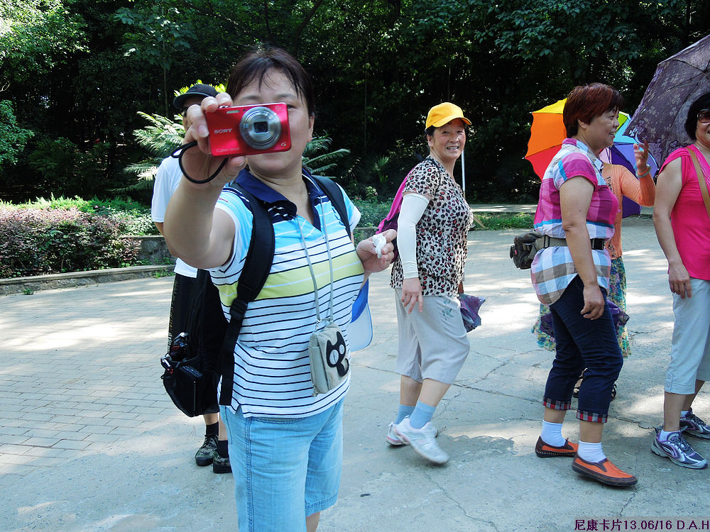 dscn0347.jpg