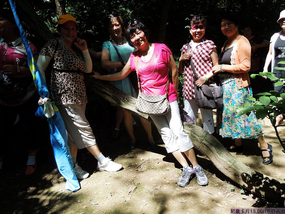 dscn0443.jpg