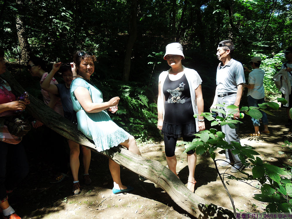 dscn0448.jpg