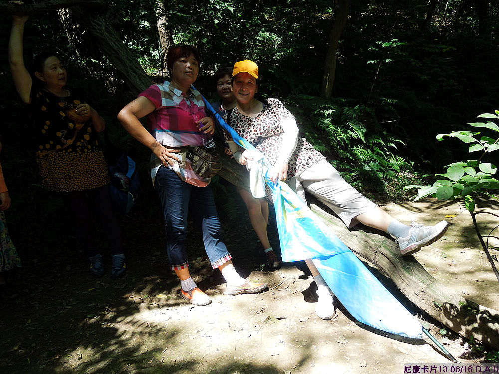 dscn0450.jpg