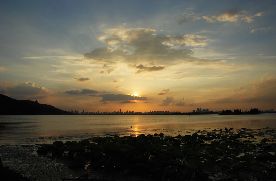 dsc_2818a.jpg