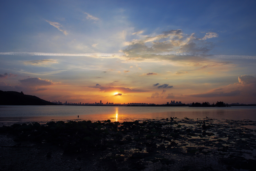 dsc_2832a.jpg