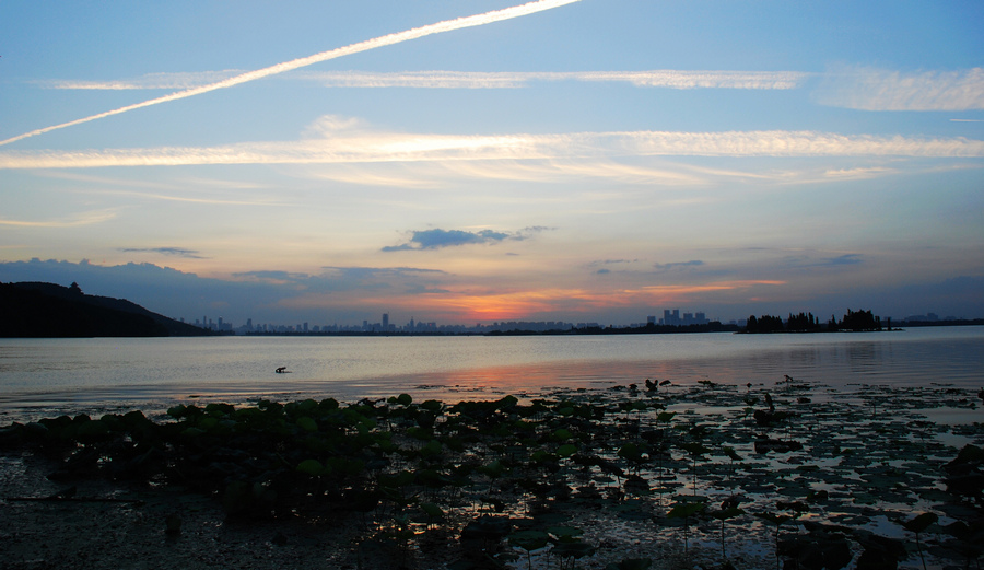 dsc_2889a.jpg