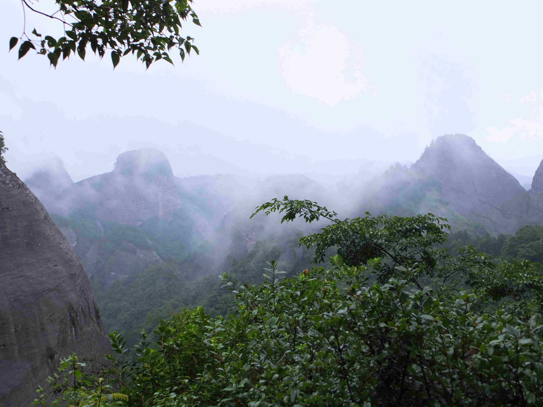 dscf6294.jpg