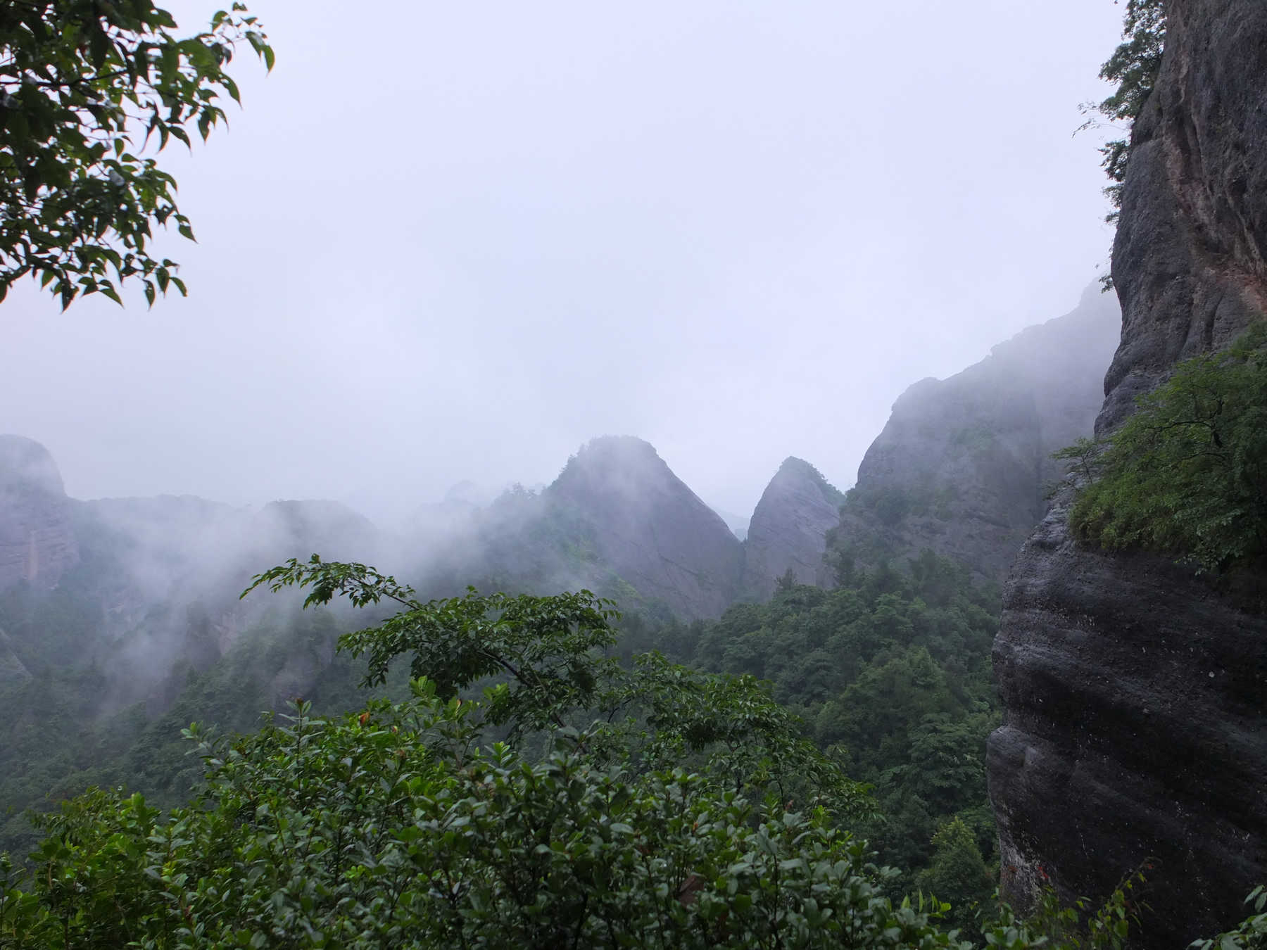 dscf6293.jpg