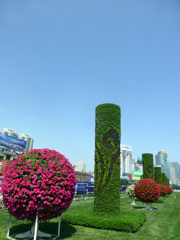 p1080173.jpg