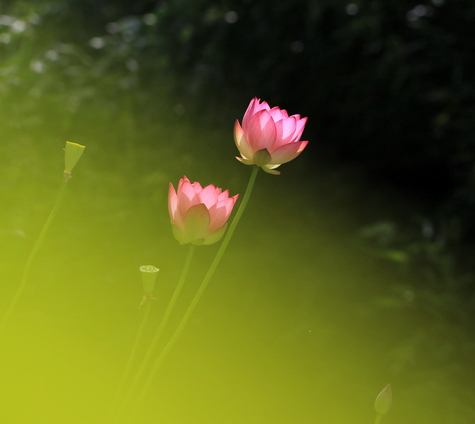 img_7016_缩小大小.jpg