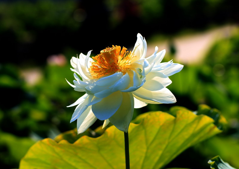 img_7158_缩小大小.jpg