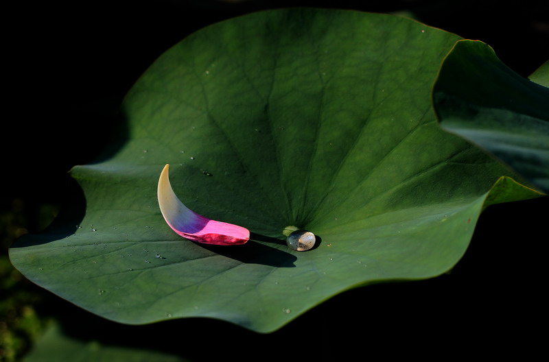 img_7160_缩小大小.jpg