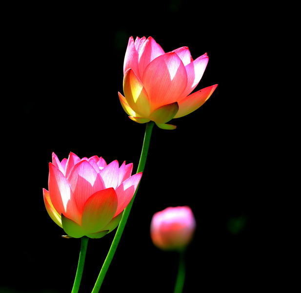 img_7020_缩小大小.jpg