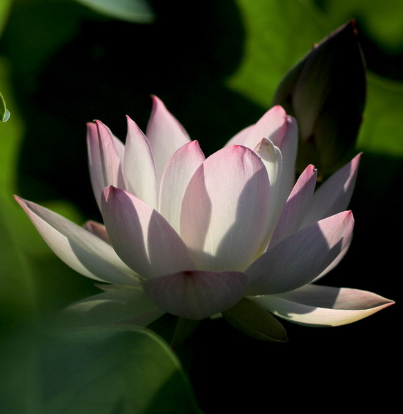img_7167_缩小大小.jpg