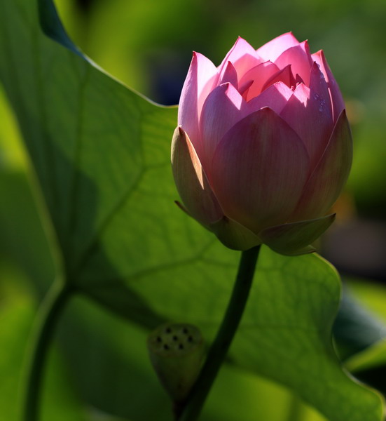 img_7168_缩小大小.jpg