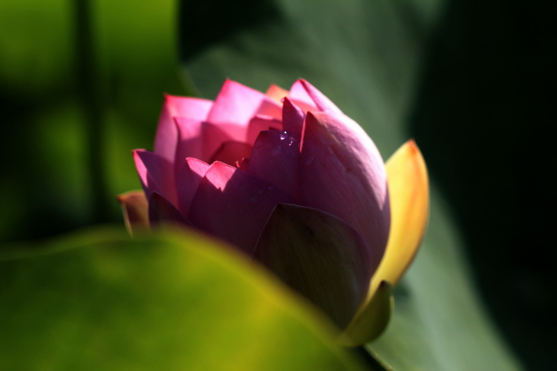 img_7161_缩小大小.jpg