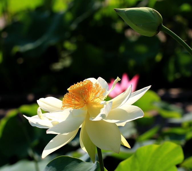 img_7172_缩小大小.jpg