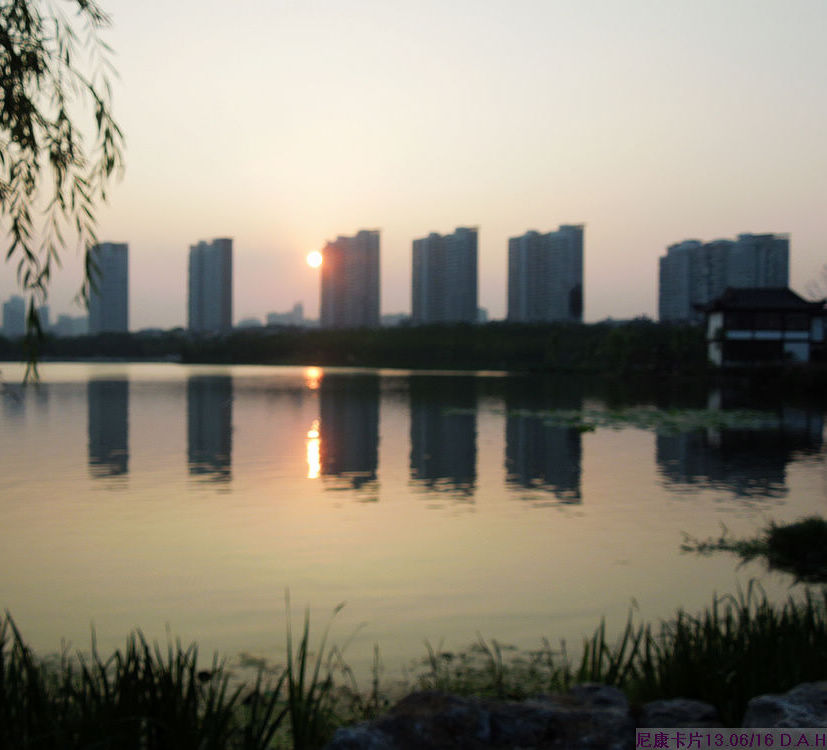 dscn0202.jpg