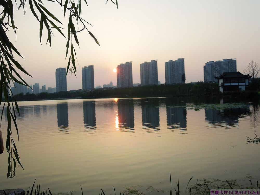 dscn0203.jpg