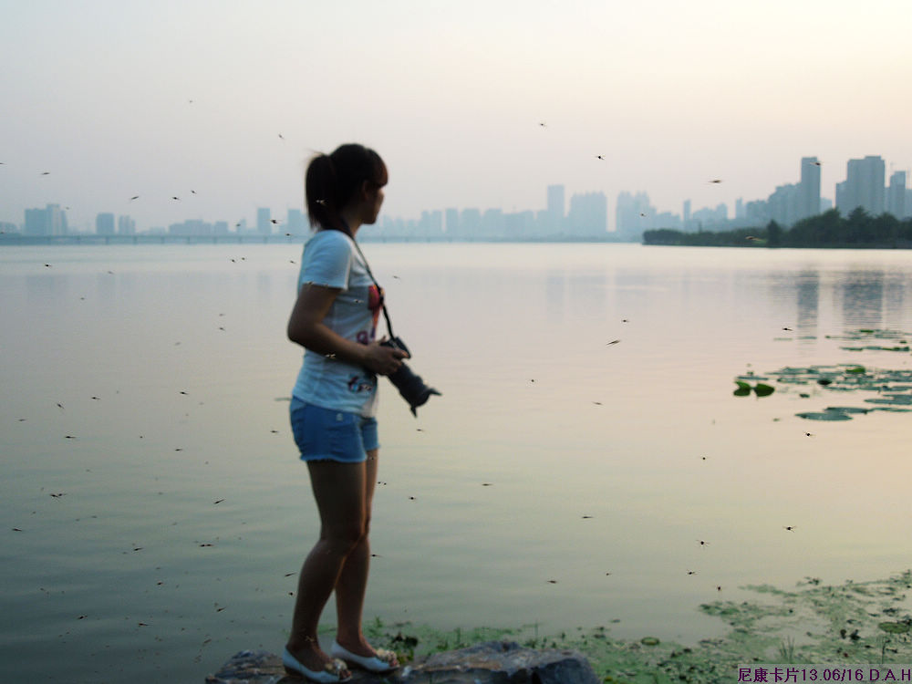 dscn0195.jpg