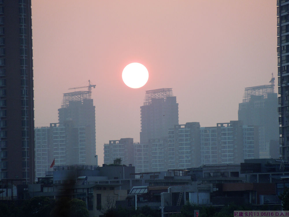 dscn0230.jpg