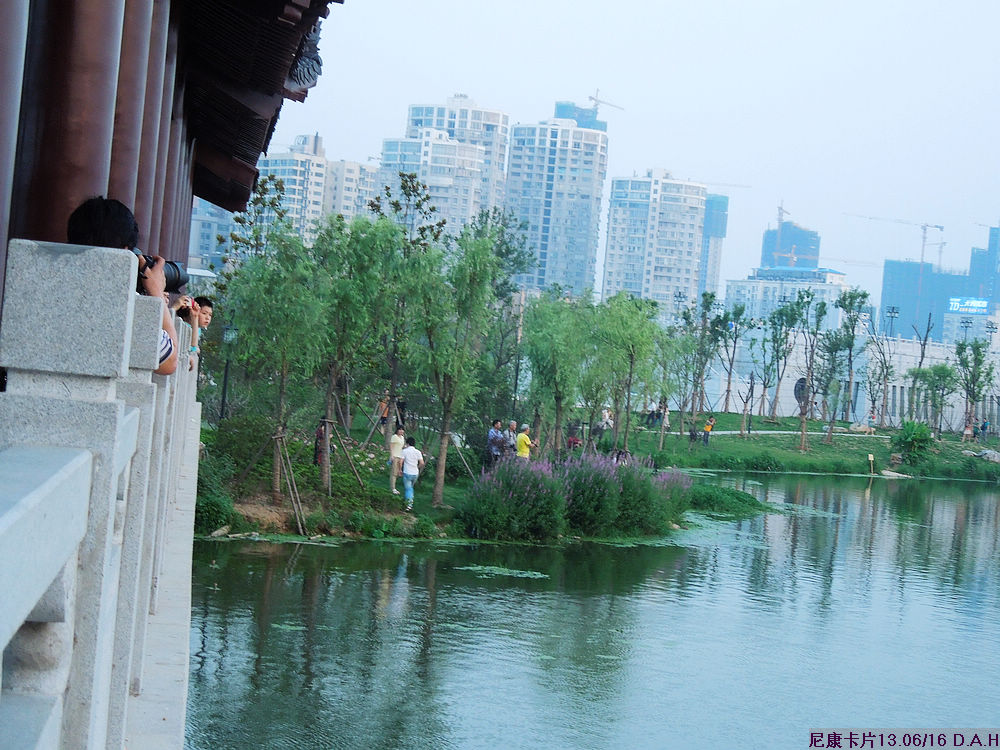 dscn0274.jpg