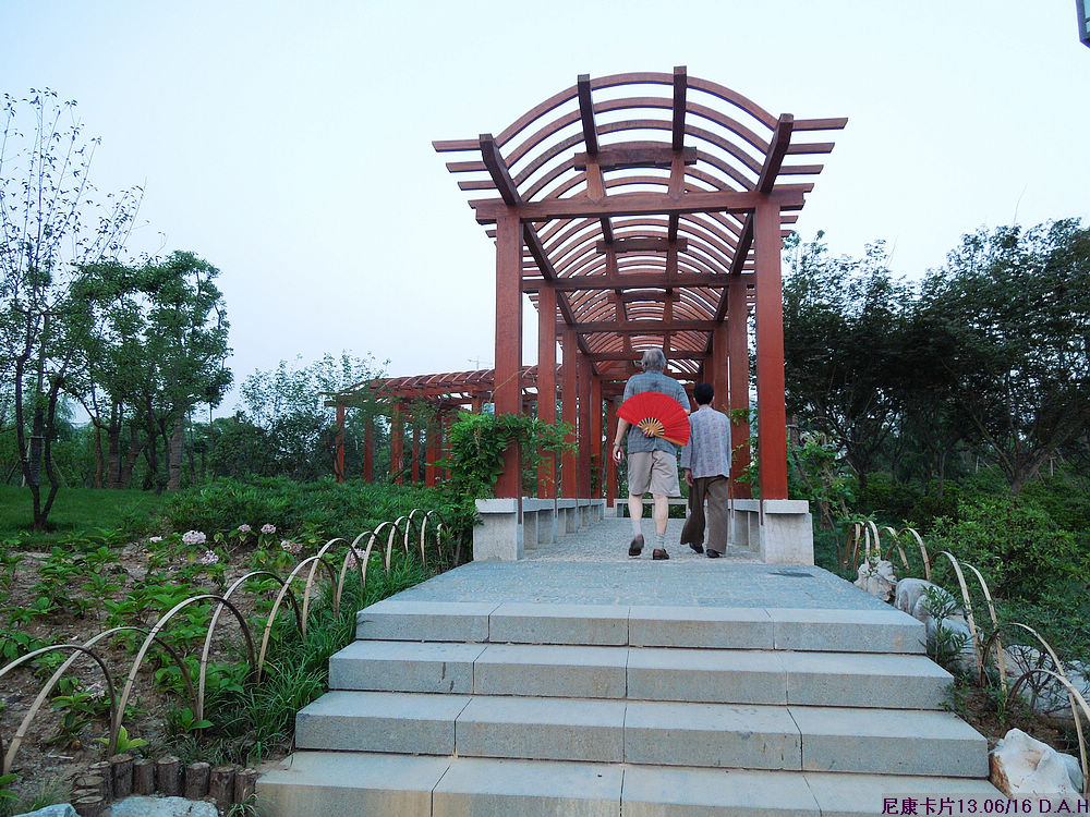 dscn0278.jpg