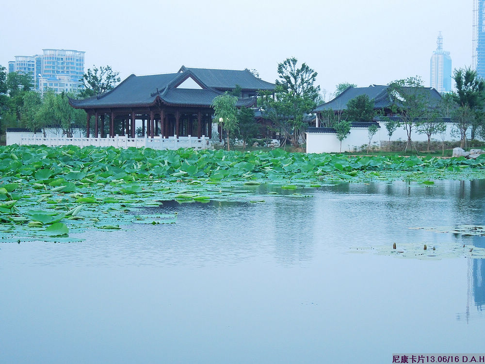 dscn0285.jpg